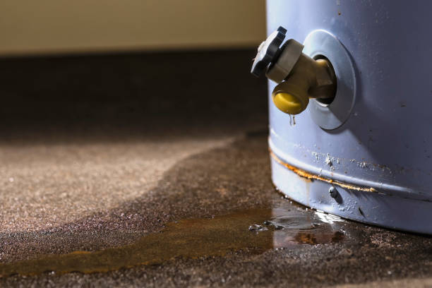 Best Local water damage restoration  in Westwego, LA