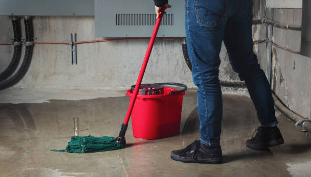 Best Water damage cleanup near me  in Westwego, LA