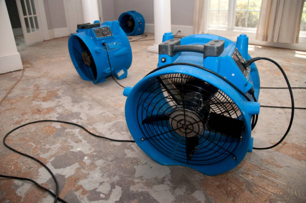 Best Carpet water damage restoration  in Westwego, LA